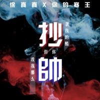 抄袭我的酷但你没我那么帅 - Single - 你的寒王 & 徐真真