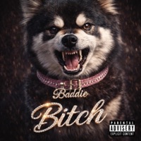 Bitch - Single - Black City Hustla Records