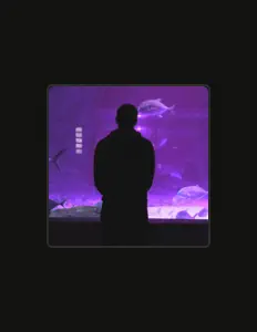 Escucha a R1CCI, mira vídeos musicales, lee la biografía, consulta fechas de giras y mucho más.