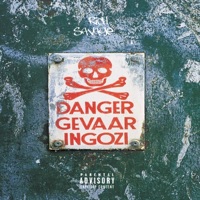 Danger Gevaar (feat. Young Tie & Sxova) - Single - Rich Savage