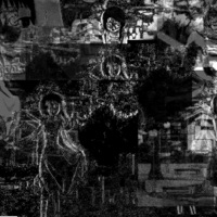 experimental crook - Single - notcrook