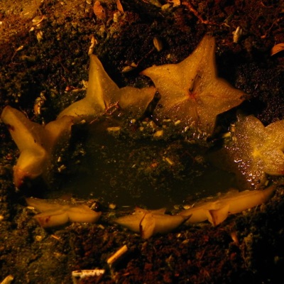 Deixe a Saudade - Single