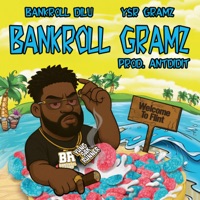 Bankroll Gramz (feat. YSR Gramz) - Single - Bankroll Dilu