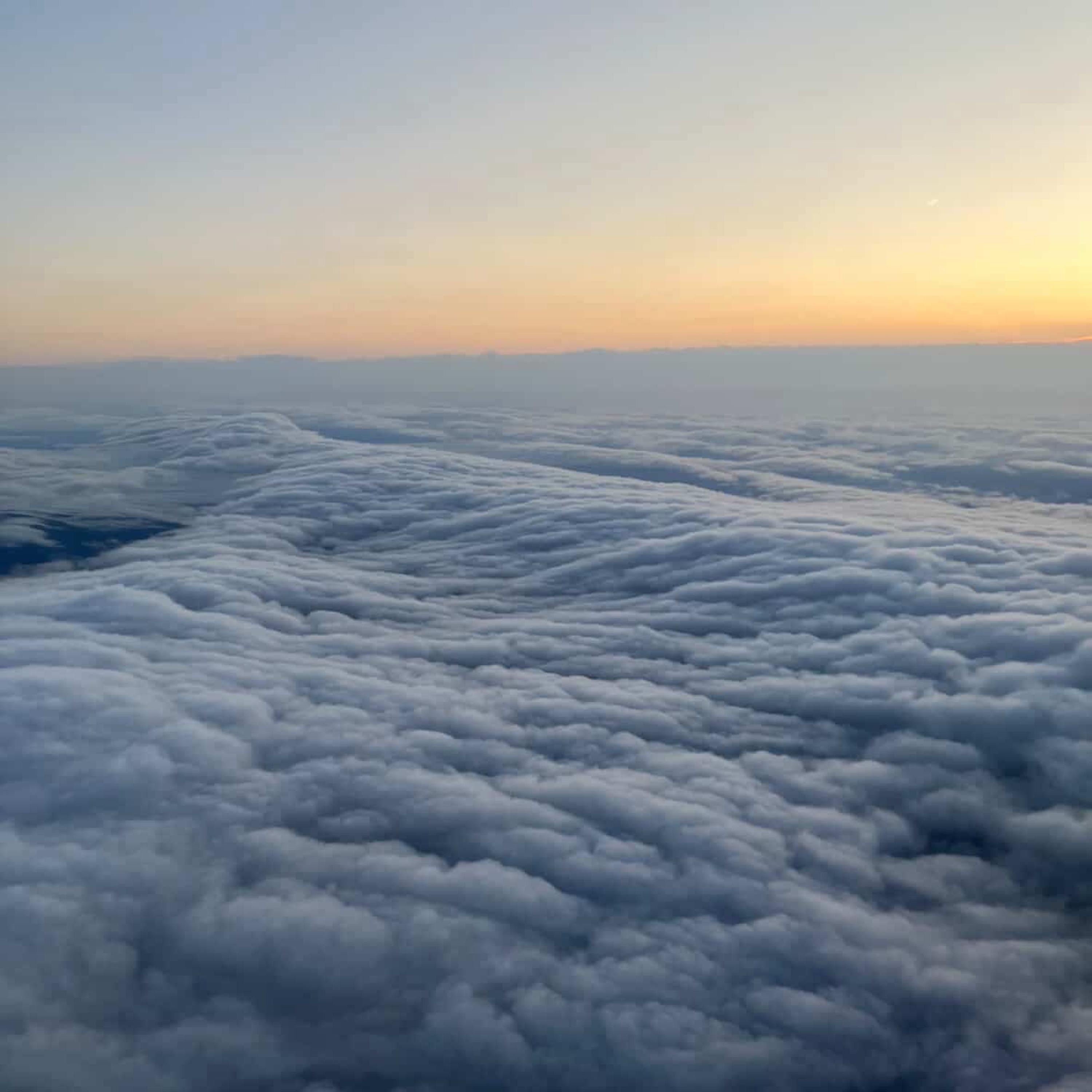 gust of wind - Single