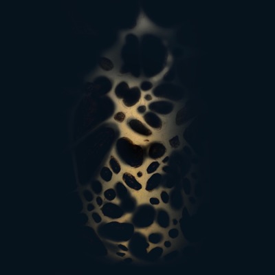 Moonwake - Single