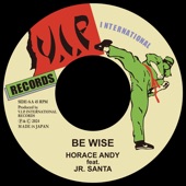 BE WISE artwork