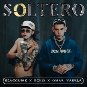 SOLTERO (feat. Fauna Music) artwork