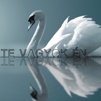 Te Vagyok Én - Single - ManGoRise