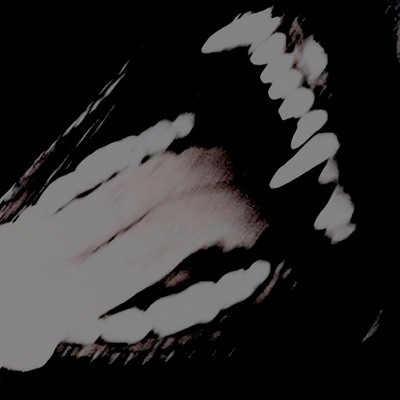 LEGGE ANIMALE (feat. LÆRA, D-Broke, Flaco & Sillage) - Single