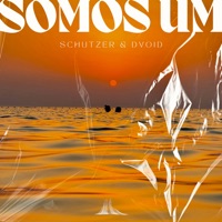 Somos Um - Single - Schutzer & D'Void