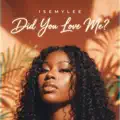 DID YOU LOVE ME