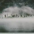 Alicia Reagan, Faith Music Missions
