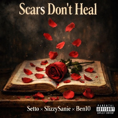 Scars Dont Heal (feat. Setto & Ben10) - Single