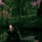 pardo - te quiero mel lyrics