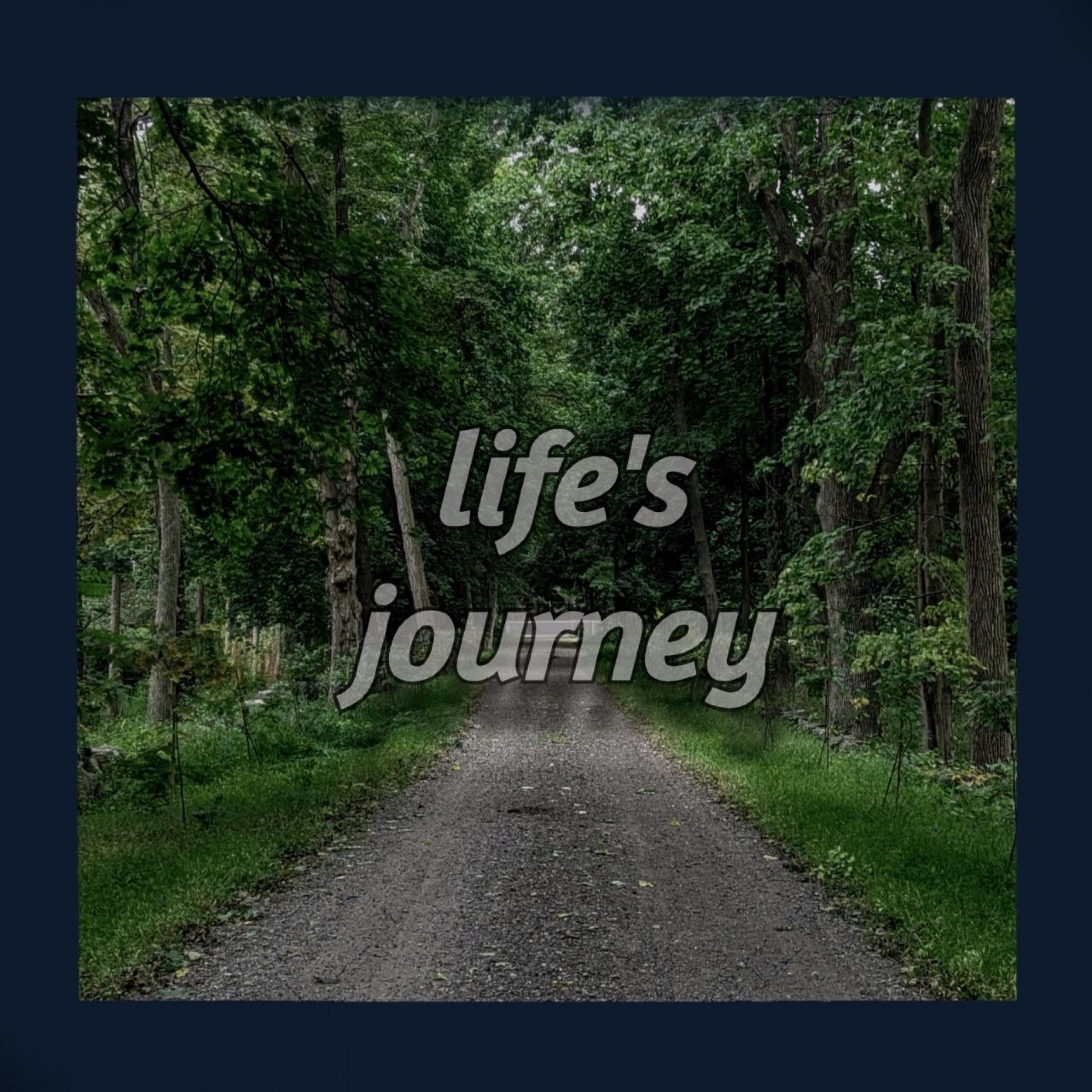 Life's Journey