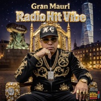 radio hit vibe - Single - Gran Mauri