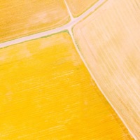 C Major Type Beat - Single - Simon Servida