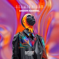 Stamina Day - Single - Andor Gabriel