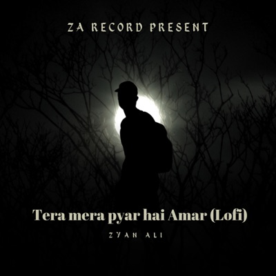 Zyan Ali - Tera Mera Hai Pyar Amar (Lofi)