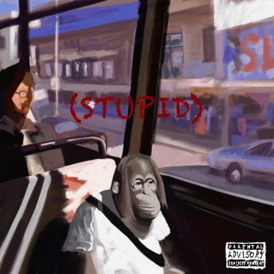 Stupid - Single