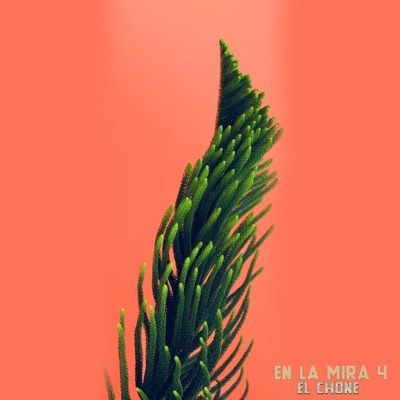 El Chone - en la mira 4