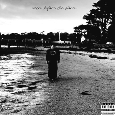 calm before the storm.(episode 2)