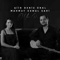 O Yar Gelir - Single - Mahmut Cemal Sari & Siir Deniz Unal