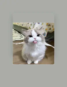 Ακούστε περιεχόμενο από xaviorthemachine, παρακολουθήστε μουσικά βίντεο, διαβάστε το βιογραφικό, δείτε ημερομηνίες περιοδείας, και πολλά ακόμη!