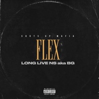Flex (feat. Banks & Lil Man) - Single - NS