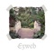 bag weed - Ezweb lyrics
