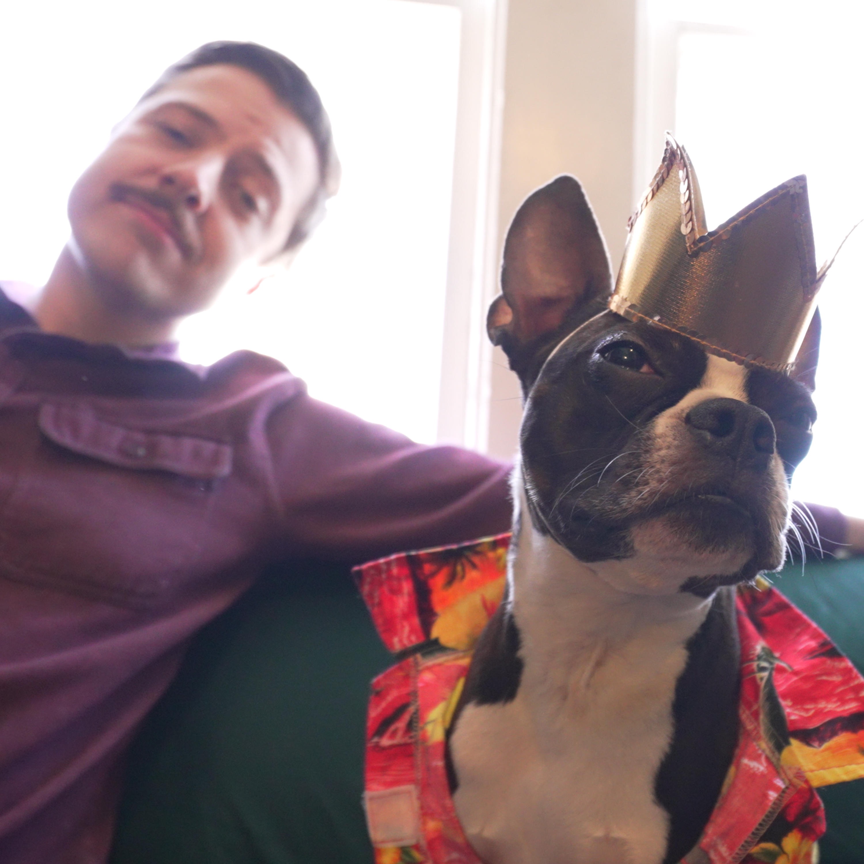 Look at This Pup - Single