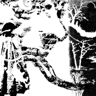 dead internet - Single