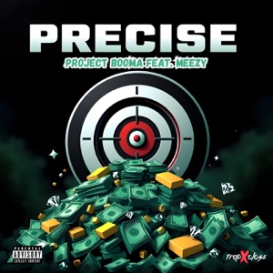 Precise (feat. Meezy)