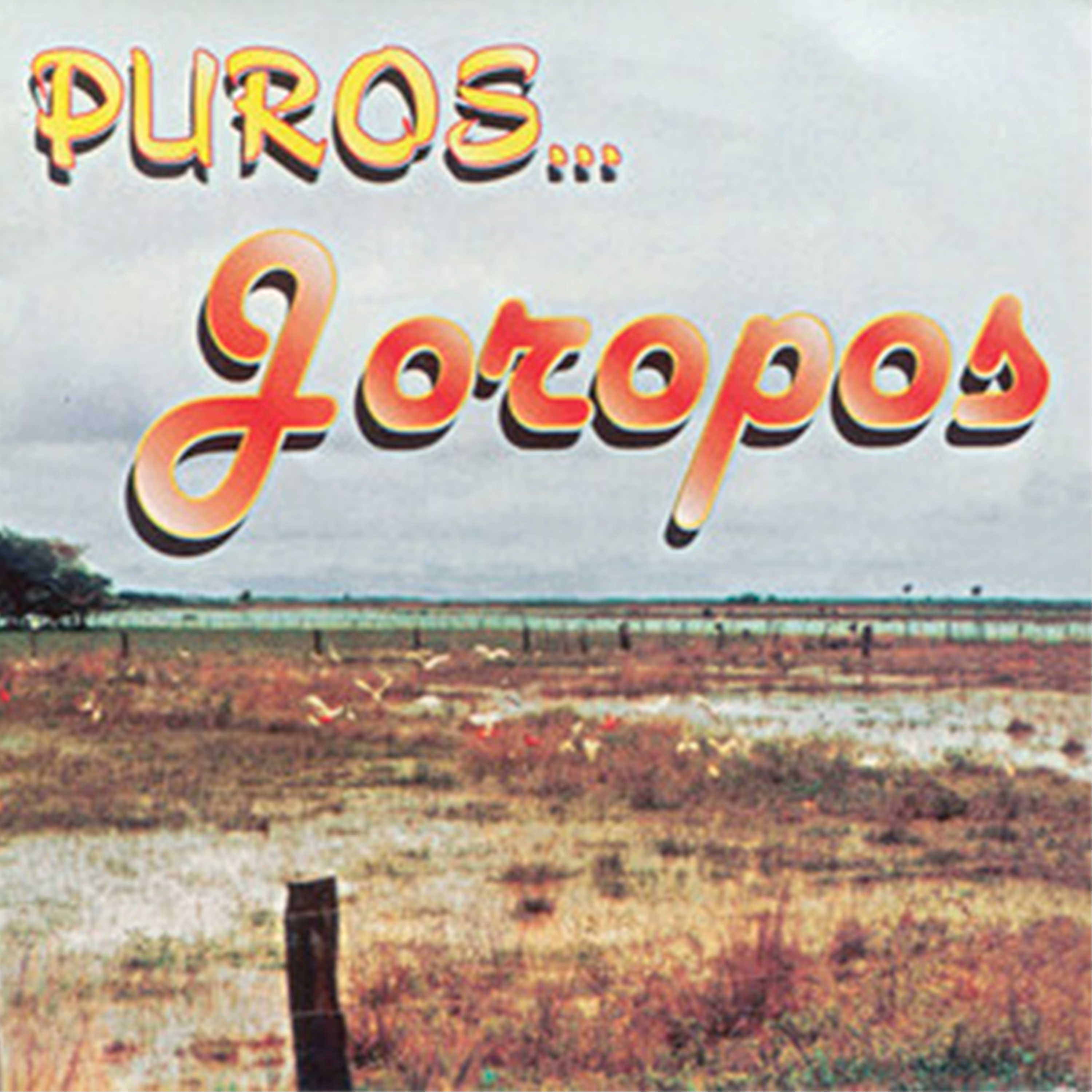 Puros Joropos