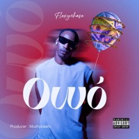 Owo(Money) - Single - FlexyChase