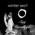 Say Goodbye