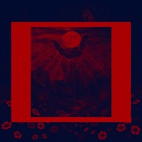 I BELONG SOMEWHERE ELSE (feat. KXINGXCLUTXCH) - Single - Calysta