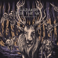 Harakiri for the Sky - Keep Me Longing