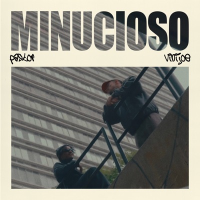 Minucioso (feat. Vinijoe) - Single
