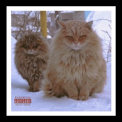 Fr3nzy/Osama*+~ - Single