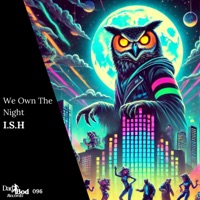We Own the Night - Single - Ish