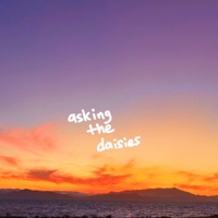 asking the daisies - Single - sammy rash