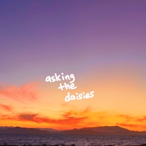 asking the daisies - Single