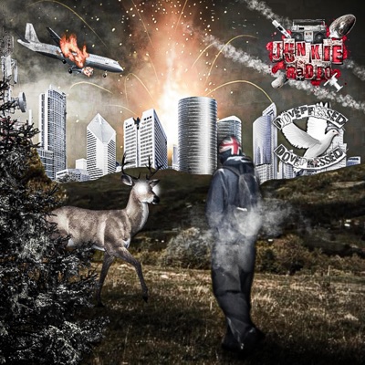 Cloud 9 (JUNKIE RADIO + HVN XCLUSIVE) [dj ddope god] - Single