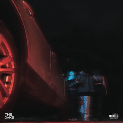 MALVADA (feat. Easymoneypolo) - Single