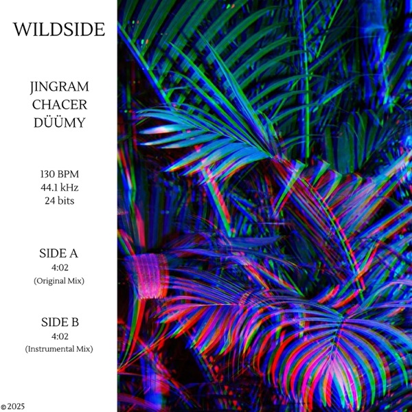 Wildside - Single