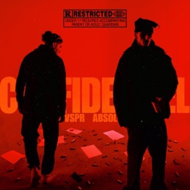 Confidentiel (feat. Absol) VSPR