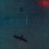 Artesanía - Single - Violeta