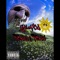 Tony 2 Tone - Lil GaXx lyrics