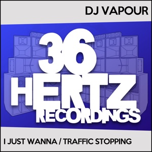 I Just Wanna / Traffic Stopping - Single